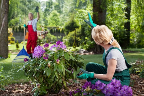 Garden clearance professionals working in Muswell Hill