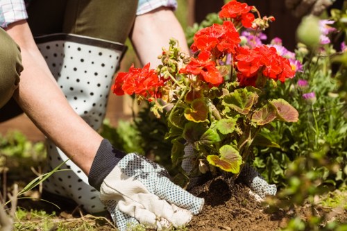 Trainer demonstrating safe tool use to gardening staff